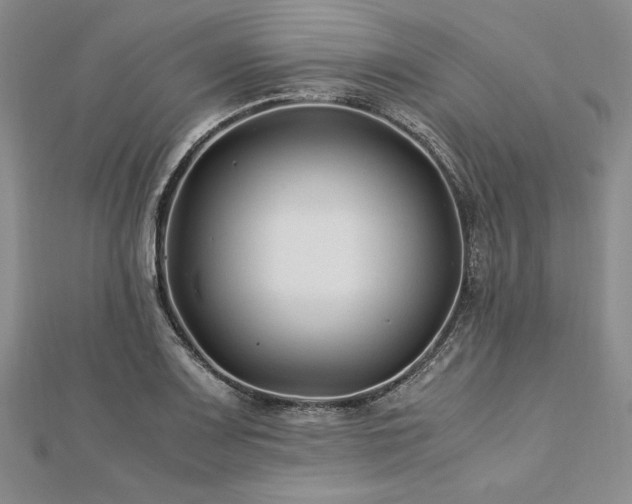 X0000113011083200908271403