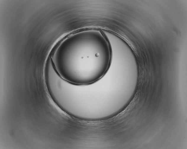 X0000113011084200908271403