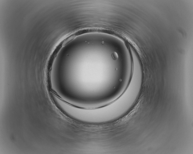 X0000113011085200908271403