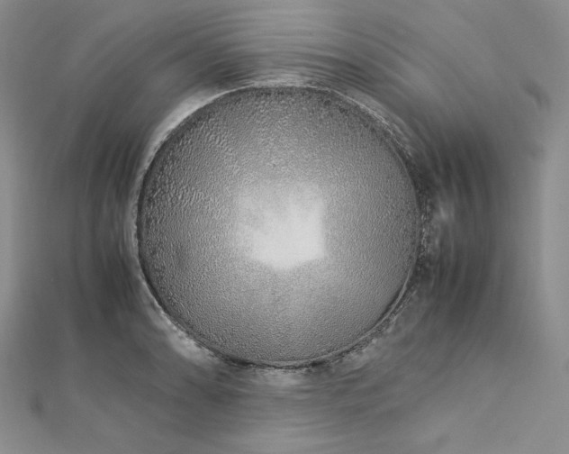 X0000113011086200908271403