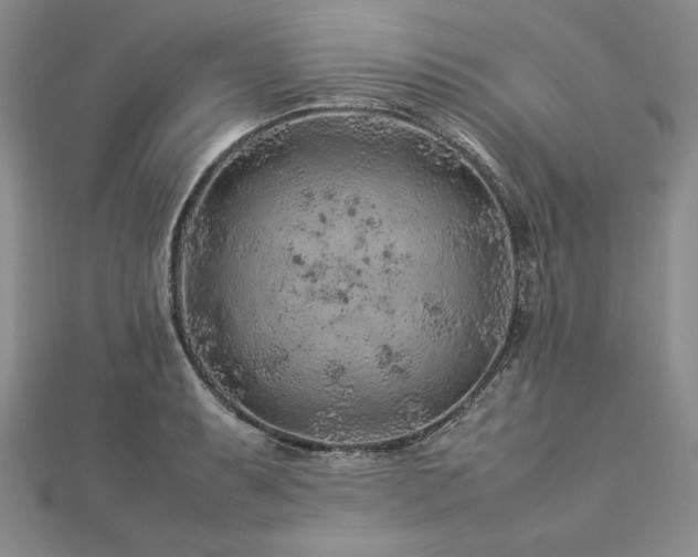 X0000113011087200908271403