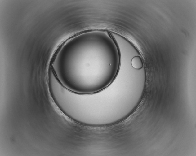 X0000113011088200908271403