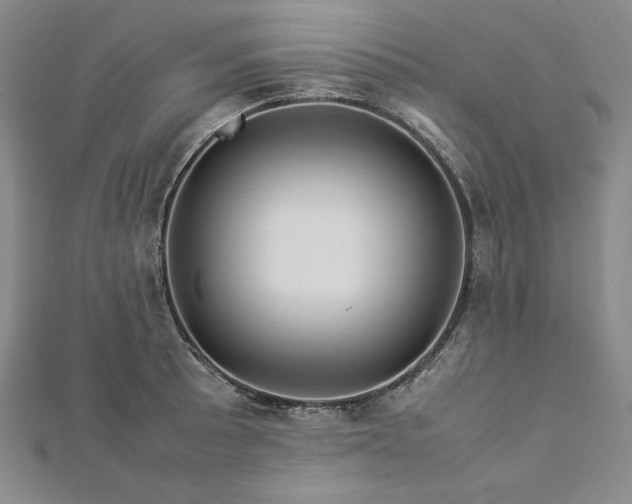 X0000113011089200908271403