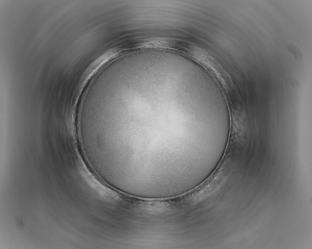 X0000113011090200908271403