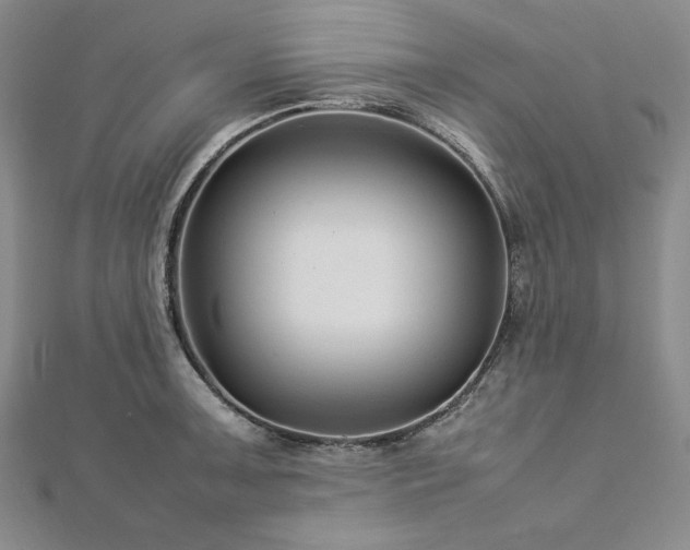 X0000113011091200908271403