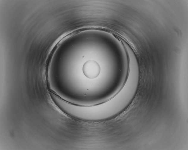 X0000113011092200908271403