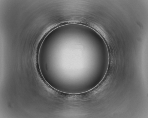 X0000113011093200908271403