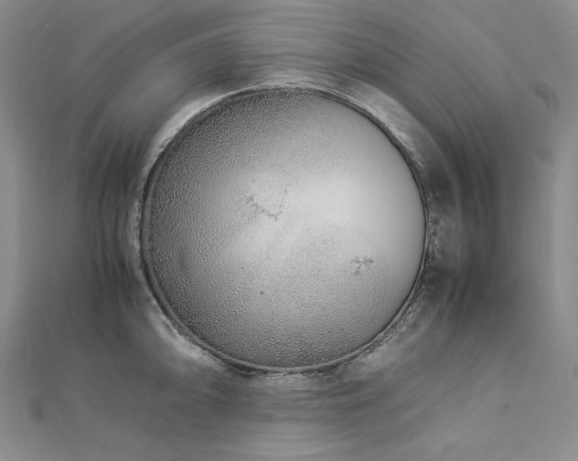 X0000113011094200908271403