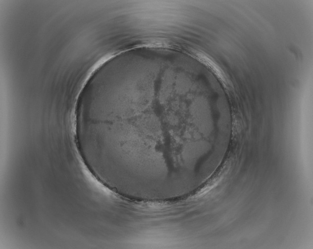 X0000113011095200908271403