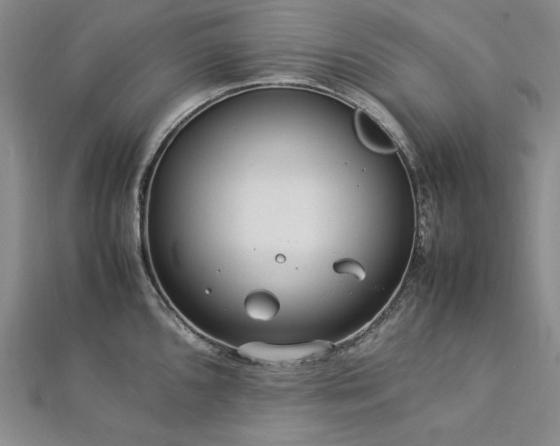 X0000113011096200908271403