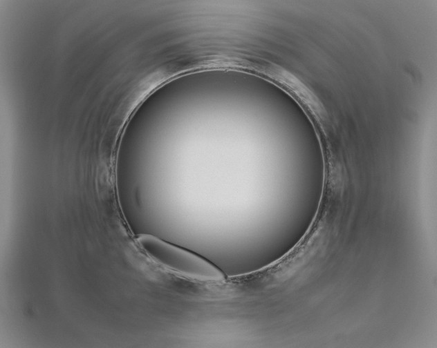 X0000113011097200908271403