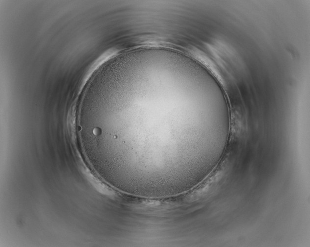 X0000113011098200908271403