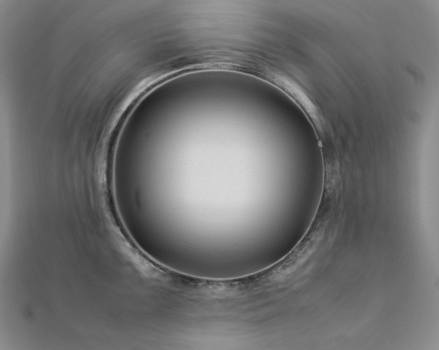 X0000113011099200908271403