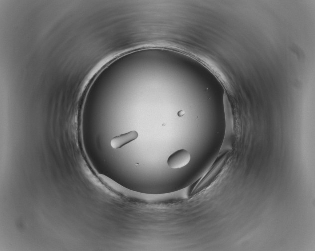 X0000113011100200908271403