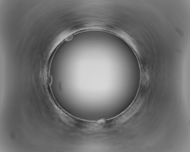 X0000113011101200908271403