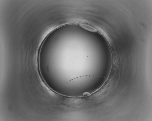 X0000113011103200908271403