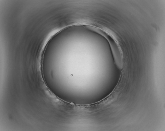 X0000113011104200908271403