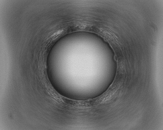 X0000113011105200908271402