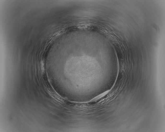 X0000113011106200908271402