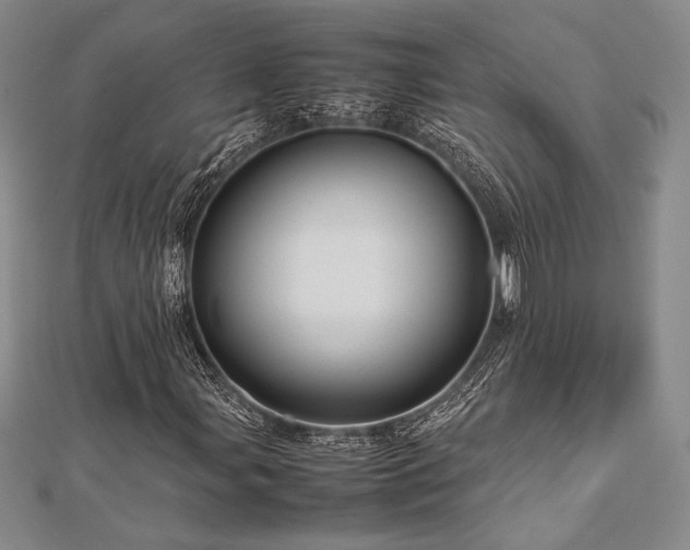 X0000113011107200908271402