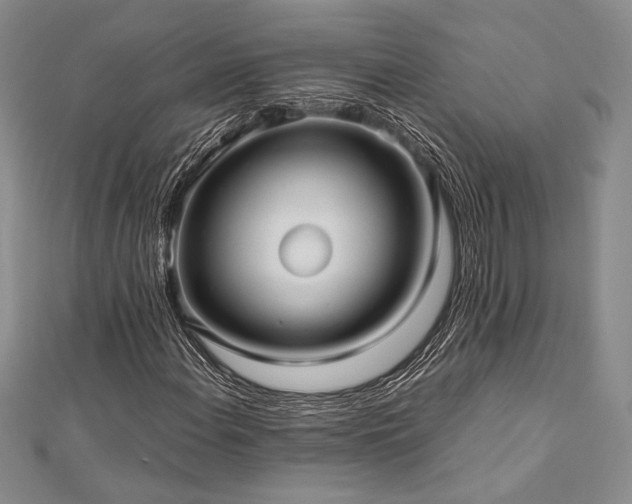 X0000113011108200908271402