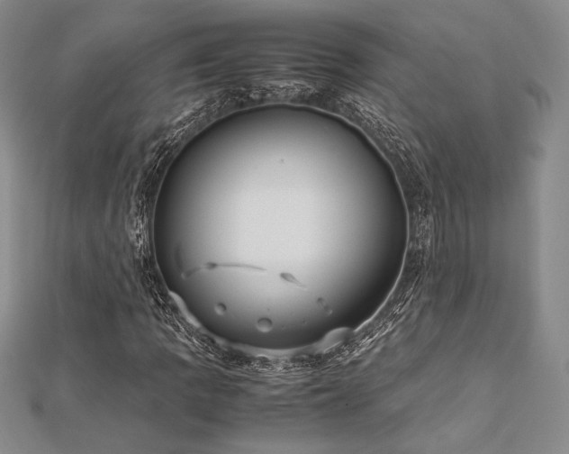 X0000113011109200908271402