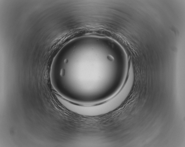 X0000113011110200908271403