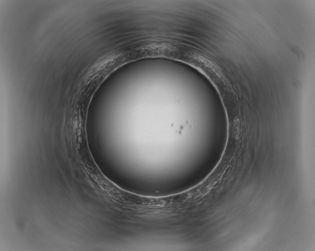 X0000113011111200908271403