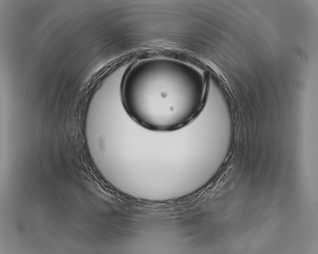 X0000113011112200908271403