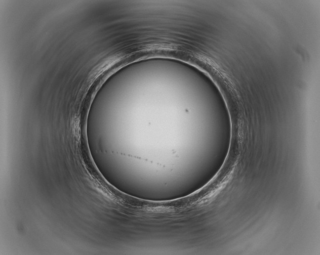 X0000113011113200908271403