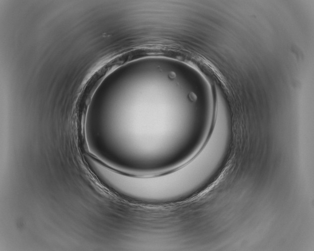 X0000113011114200908271403