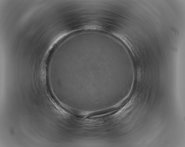 X0000113011115200908271403