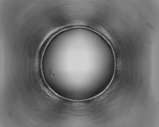 X0000113011116200908271403