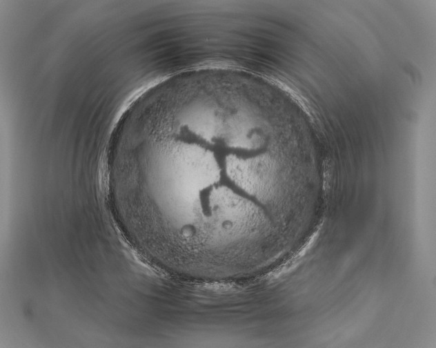 X0000113011117200908271403