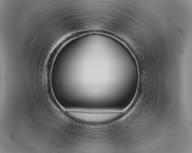 X0000113011118200908271403