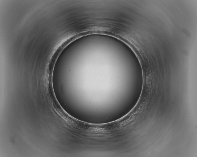 X0000113011119200908271403