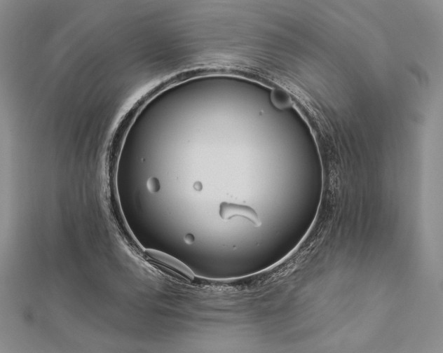 X0000113011120200908271403