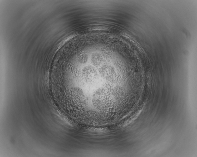 X0000113011121200908271403