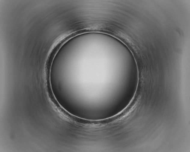 X0000113011122200908271403