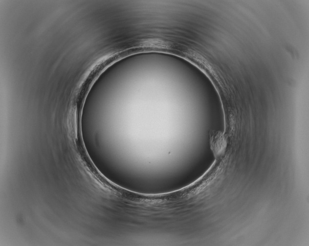 X0000113011123200908271403