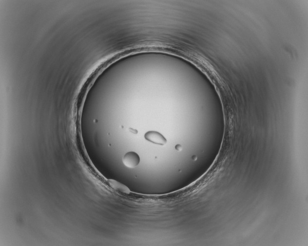 X0000113011124200908271403