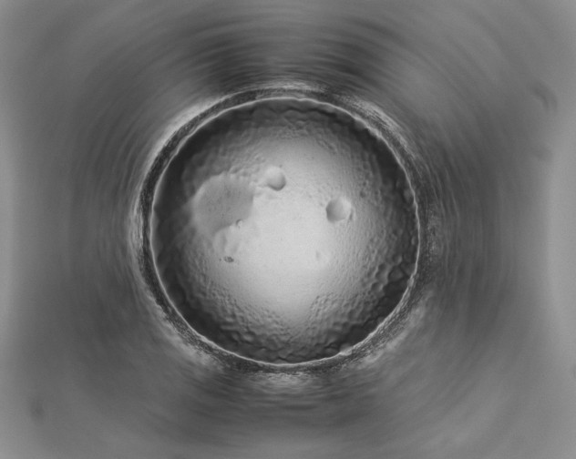 X0000113011125200908271403