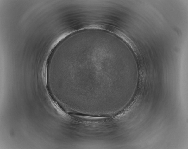 X0000113011127200908271403