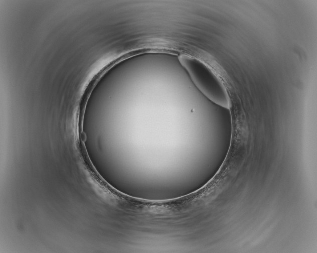 X0000113011128200908271403