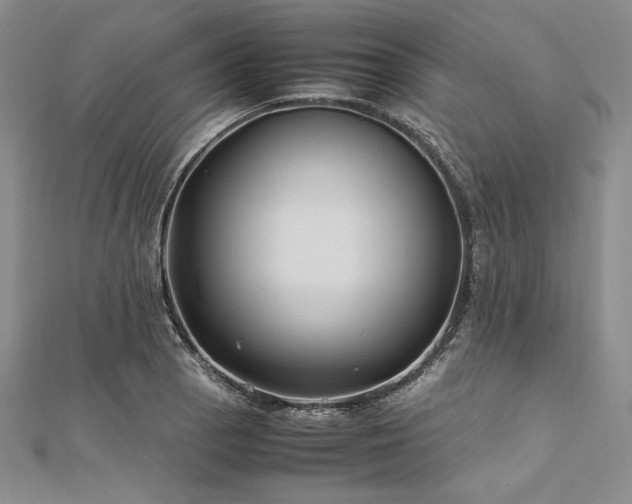 X0000113011129200908271403