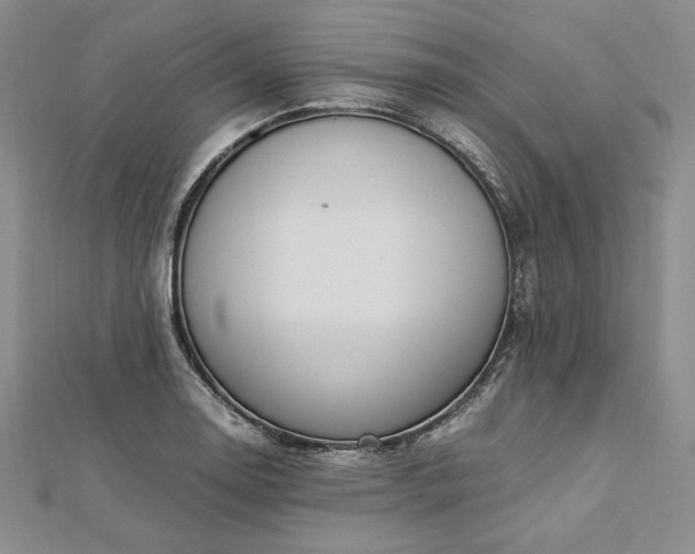 X0000113011130200908271403