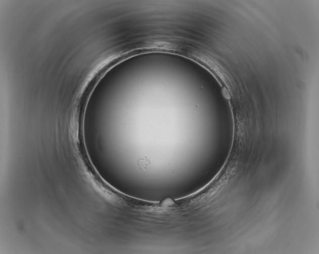 X0000113011131200908271403