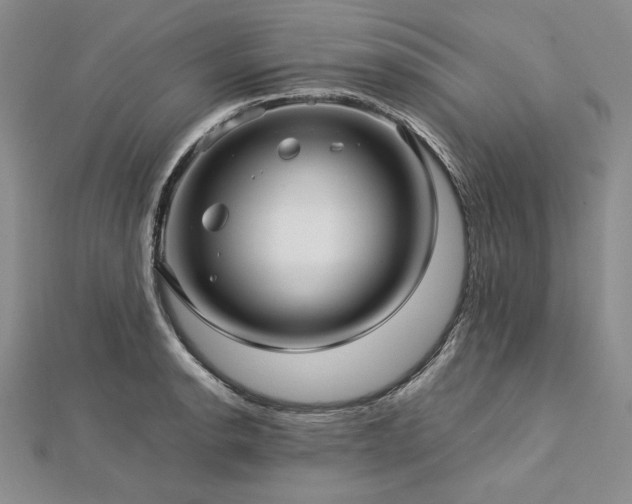 X0000113011134200908271403