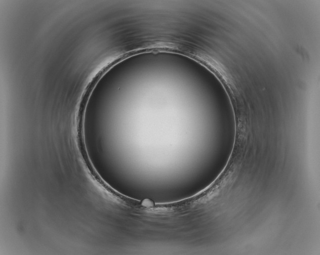 X0000113011135200908271403