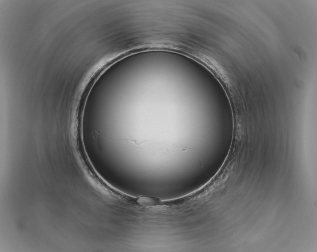 X0000113011136200908271403